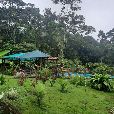 Oski Lodge, Rain Forest Rincon De La Vieja Upala Zewnętrze zdjęcie
