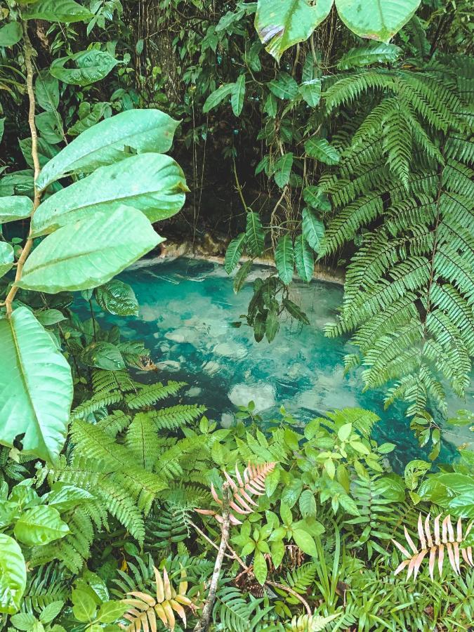 Oski Lodge, Rain Forest Rincon De La Vieja Upala Zewnętrze zdjęcie