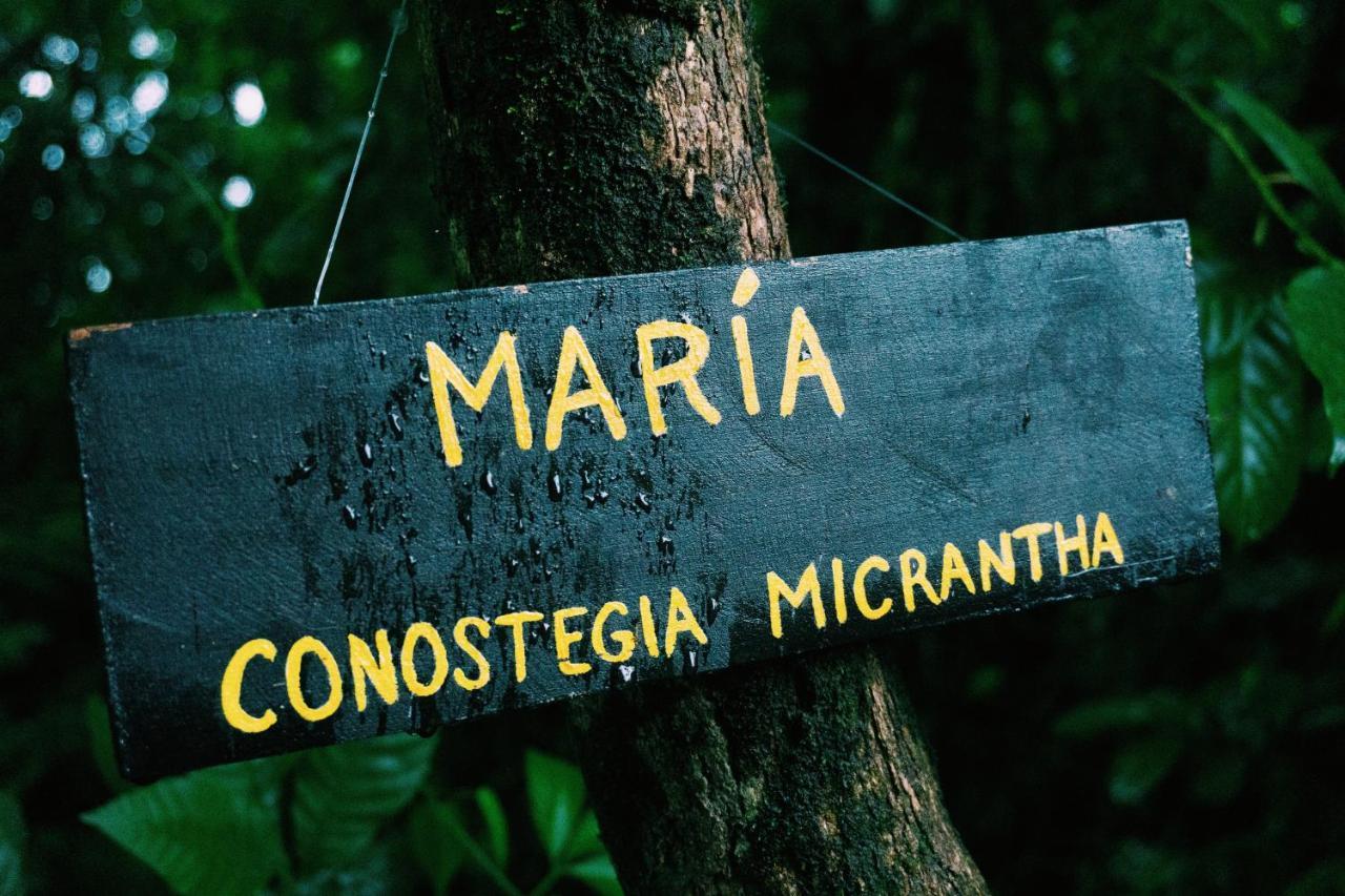 Oski Lodge, Rain Forest Rincon De La Vieja Upala Zewnętrze zdjęcie