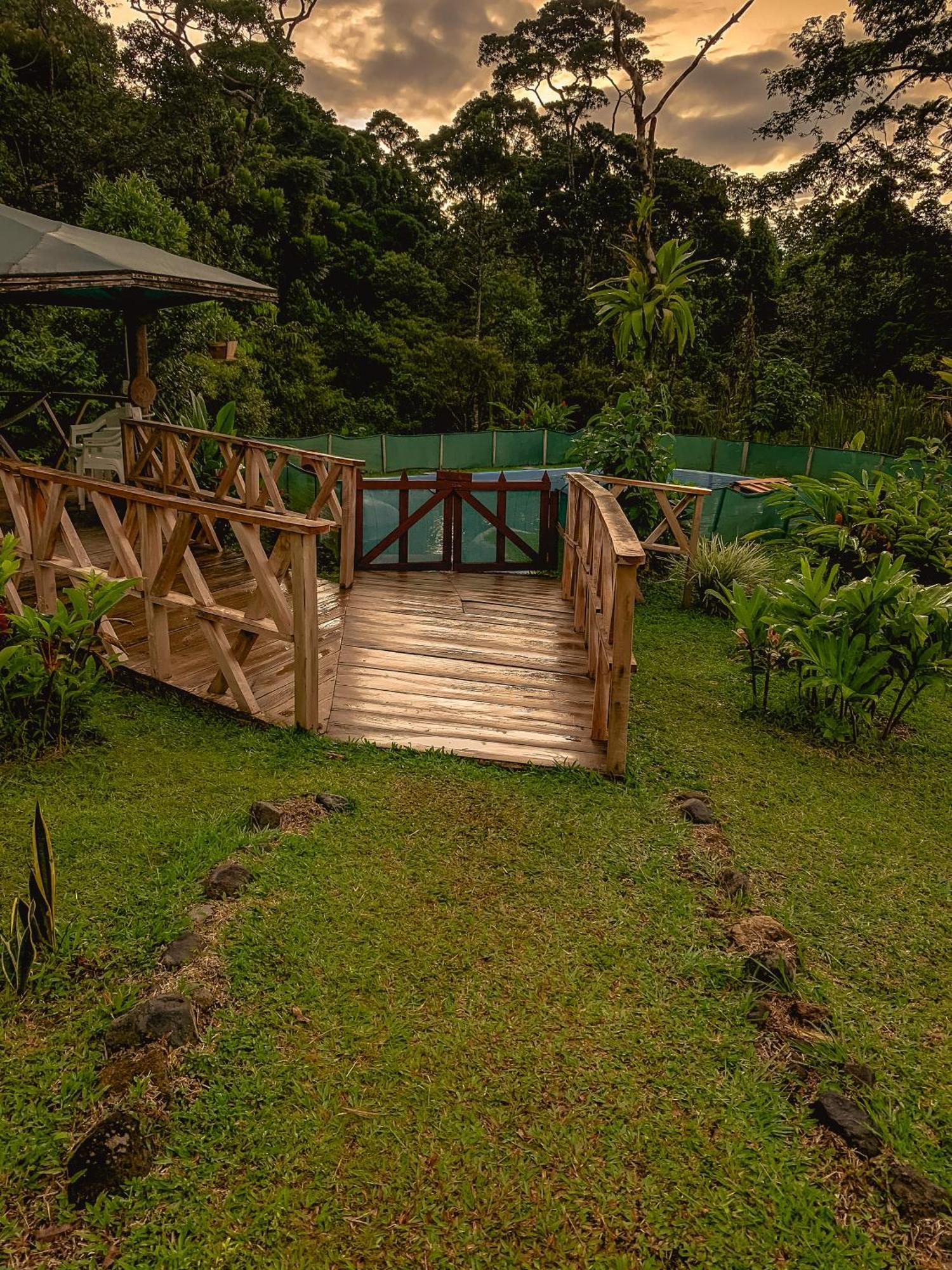 Oski Lodge, Rain Forest Rincon De La Vieja Upala Zewnętrze zdjęcie