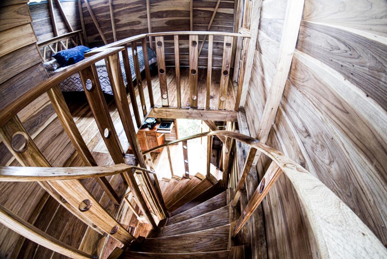 Oski Lodge, Rain Forest Rincon De La Vieja Upala Zewnętrze zdjęcie