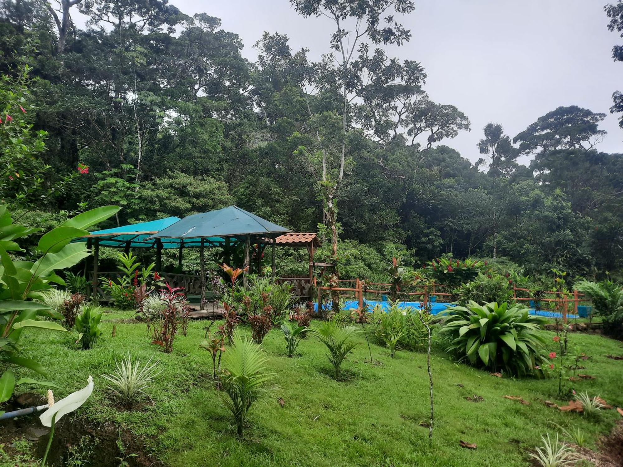 Oski Lodge, Rain Forest Rincon De La Vieja Upala Zewnętrze zdjęcie