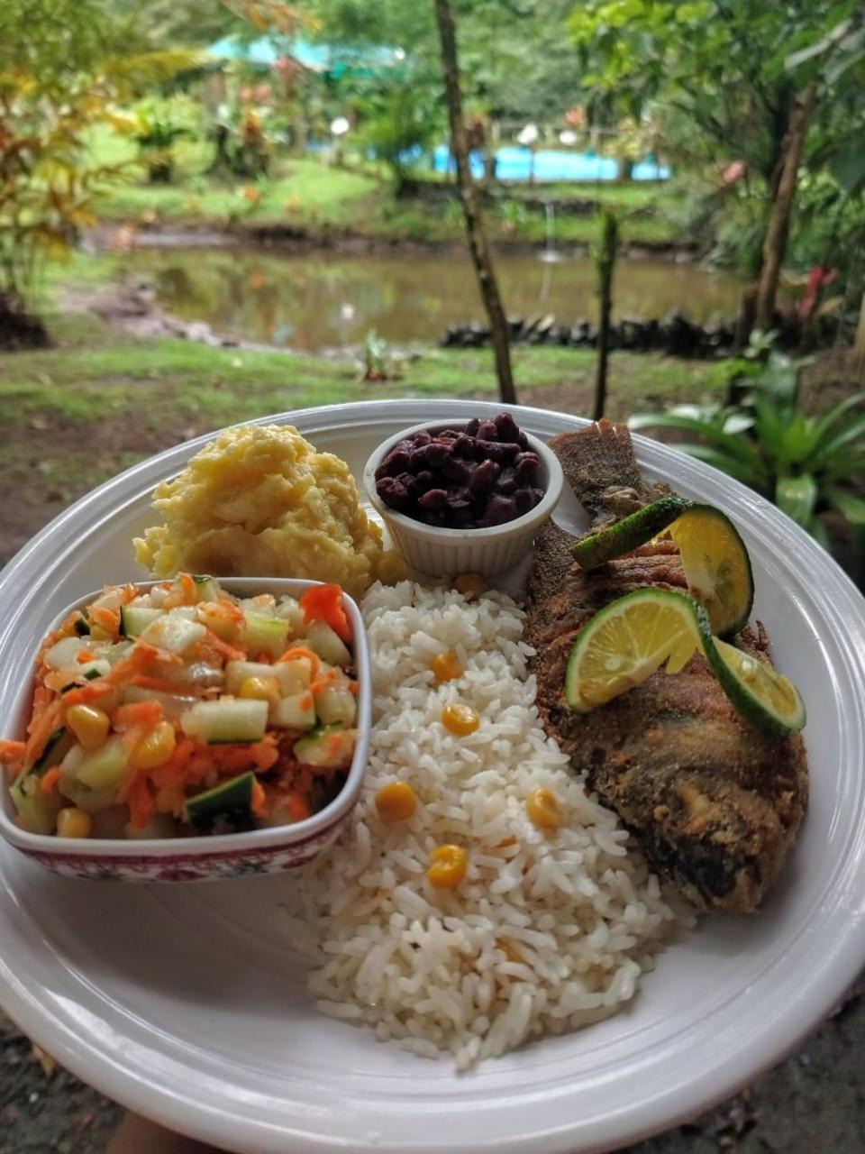 Oski Lodge, Rain Forest Rincon De La Vieja Upala Zewnętrze zdjęcie